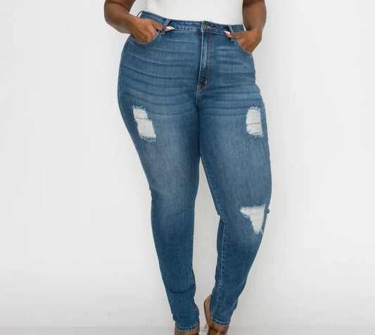 CURVY SKINNY SEXY DESTROYED JEANS